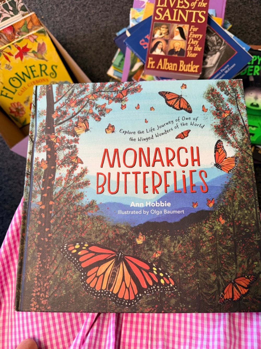 Monarchs non-fiction children’s book